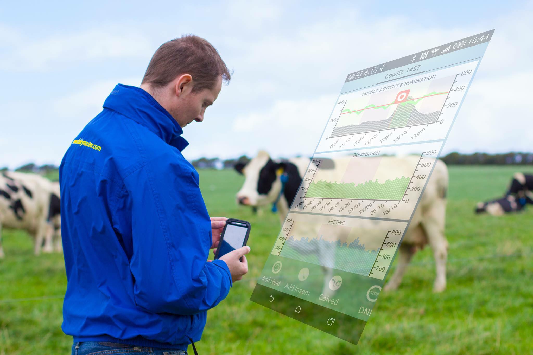 cookstown-dairy-services-farmers-market